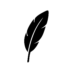 The Reluctant Feminist